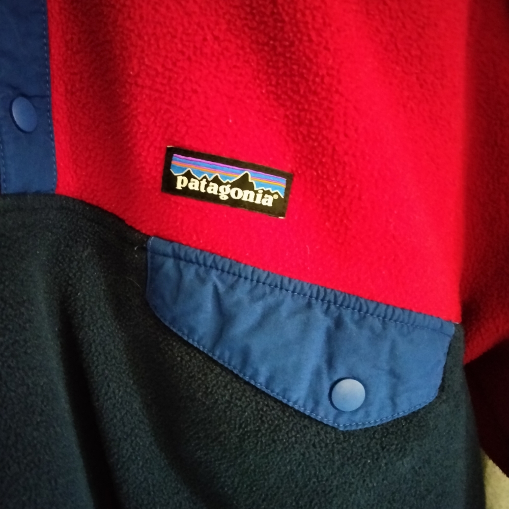 Patagonia fleece button up hoodie